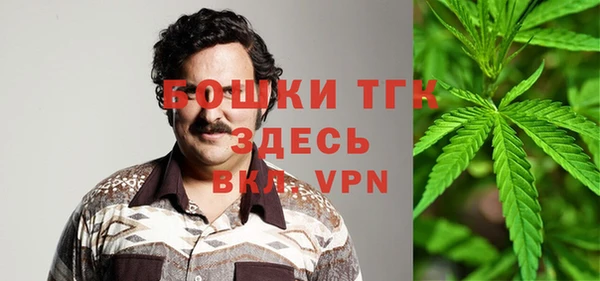 индика Абдулино
