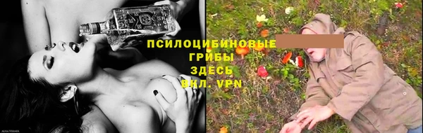 индика Абдулино