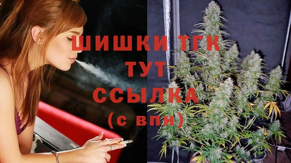 спиды Абаза