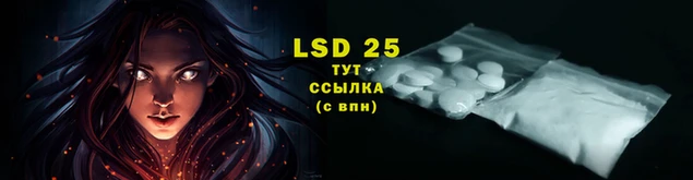 a pvp Абинск