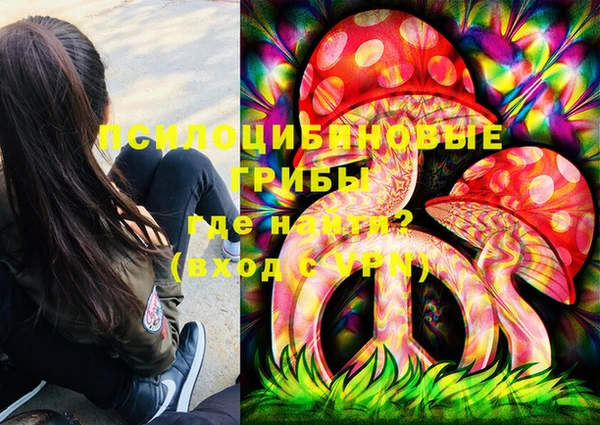 спиды Абаза