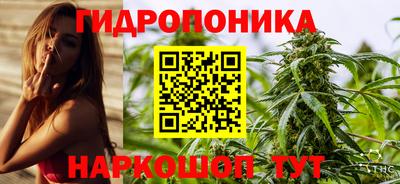 твердый Лесосибирск