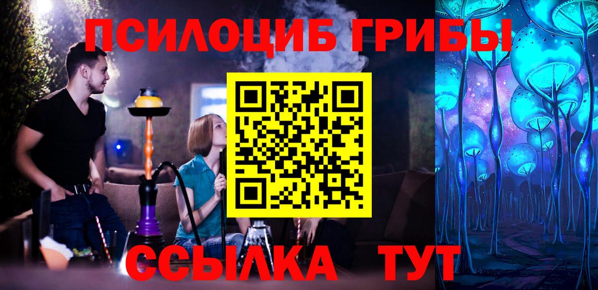 Псилоцибиновые грибы мицелий Домодедово