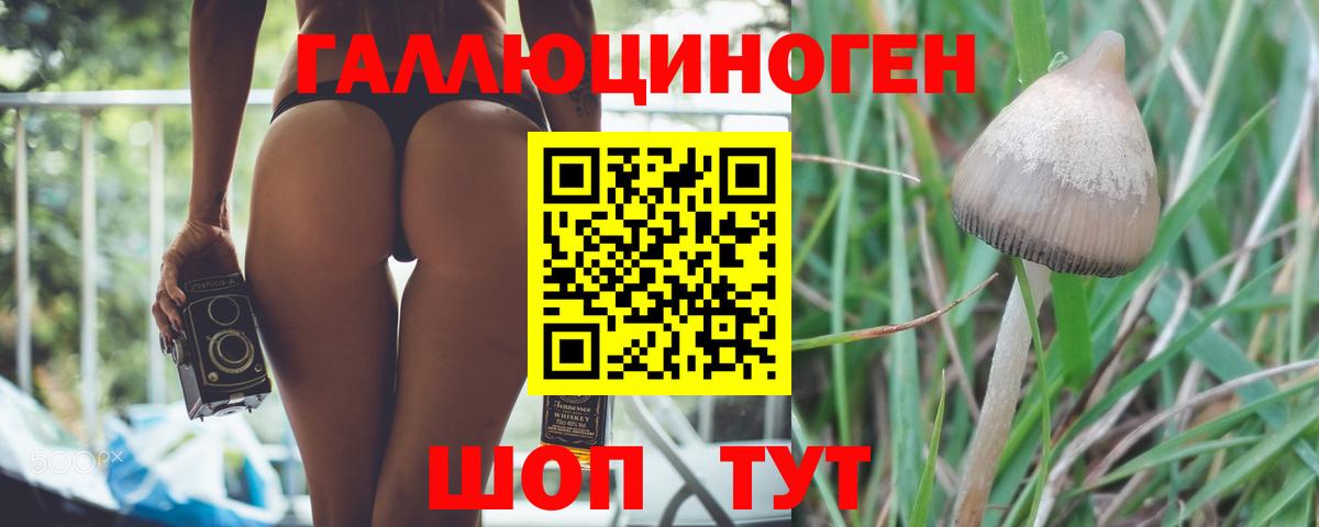 как найти наркотики  Вход с VPN  Домодедово  Псилоцибиновые грибы ЛСД 